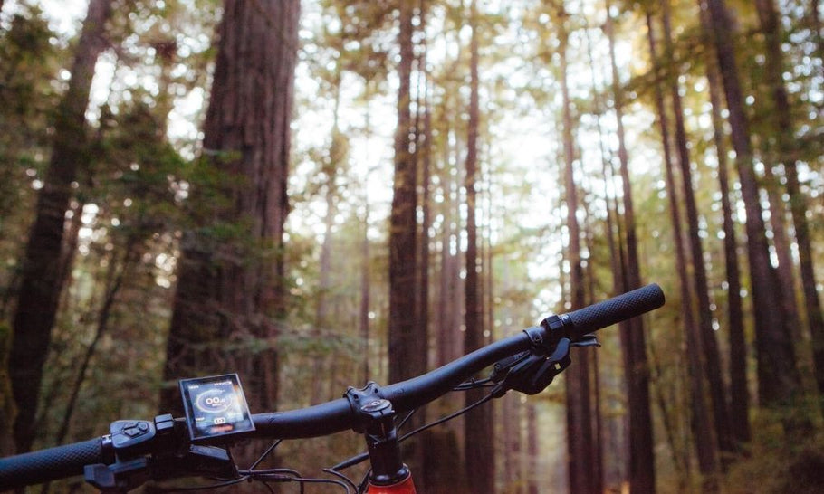 Things You Need To Know Before Taking Your E-Bike to a Trail
